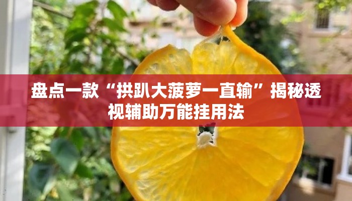 盘点一款“拱趴大菠萝一直输”揭秘透视辅助万能挂用法