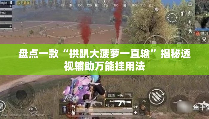 盘点一款“拱趴大菠萝一直输”揭秘透视辅助万能挂用法