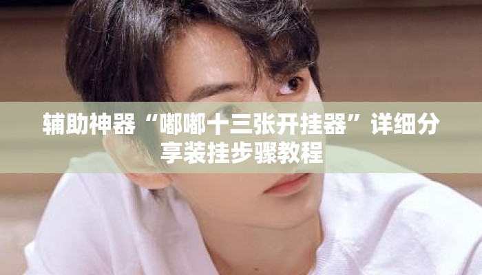 辅助神器“嘟嘟十三张开挂器”详细分享装挂步骤教程