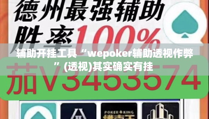 辅助开挂工具“wepoker辅助透视作弊”(透视)其实确实有挂 