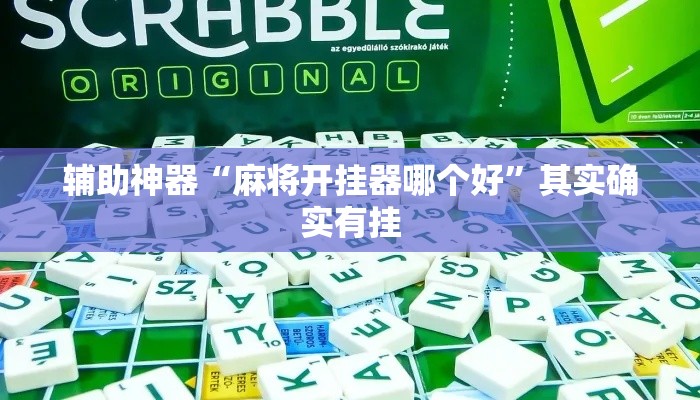 辅助神器“麻将开挂器哪个好”其实确实有挂