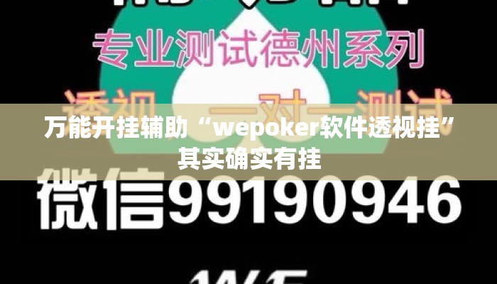 万能开挂辅助“wepoker软件透视挂”其实确实有挂