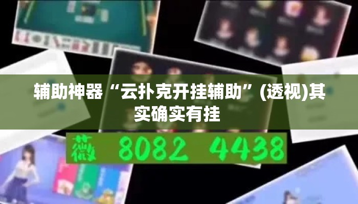 辅助神器“云扑克开挂辅助”(透视)其实确实有挂 