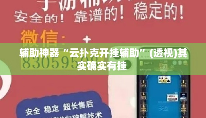 辅助神器“云扑克开挂辅助”(透视)其实确实有挂 