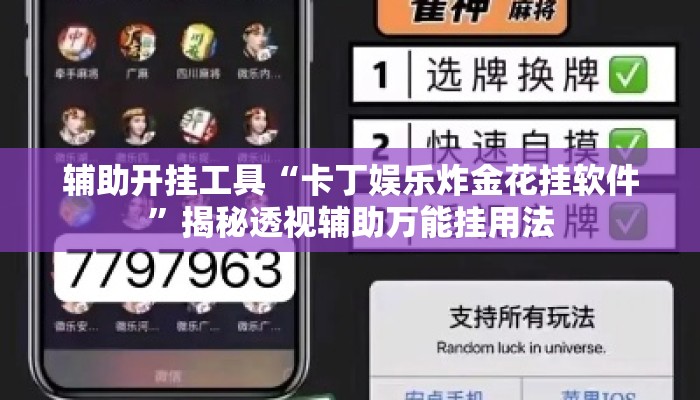 辅助开挂工具“卡丁娱乐炸金花挂软件”揭秘透视辅助万能挂用法