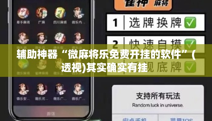 辅助神器“微麻将乐免费开挂的软件”(透视)其实确实有挂 