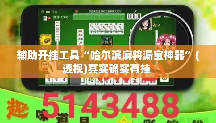 辅助开挂工具“哈尔滨麻将漏宝神器	”(透视)其实确实有挂 