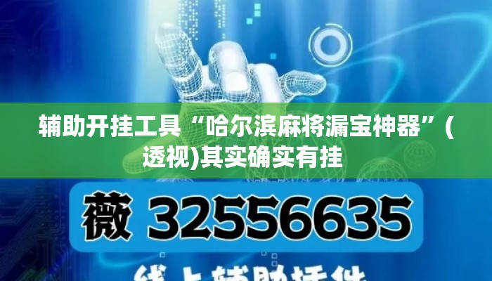 辅助开挂工具“哈尔滨麻将漏宝神器”(透视)其实确实有挂 