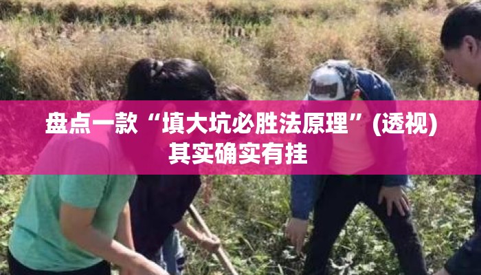 盘点一款“填大坑必胜法原理	”(透视)其实确实有挂 
