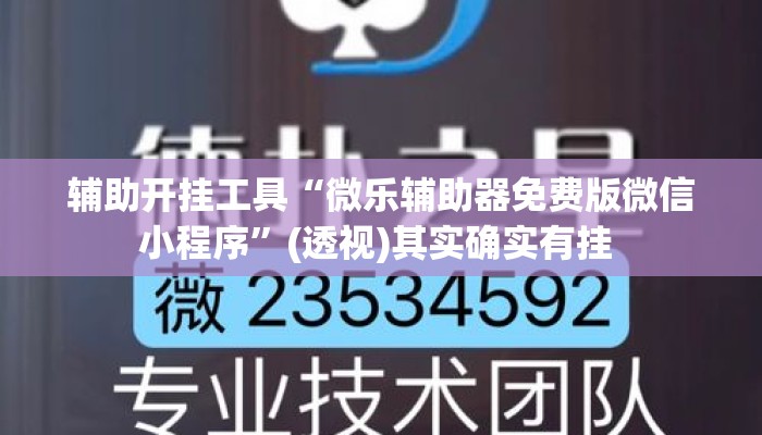 辅助开挂工具“微乐辅助器免费版微信小程序	”(透视)其实确实有挂 