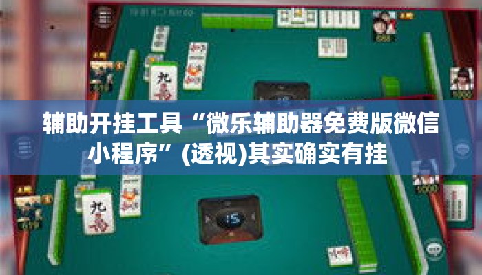 辅助开挂工具“微乐辅助器免费版微信小程序”(透视)其实确实有挂 