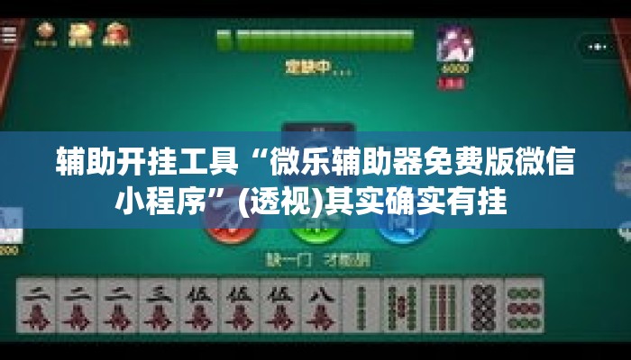 辅助开挂工具“微乐辅助器免费版微信小程序”(透视)其实确实有挂 