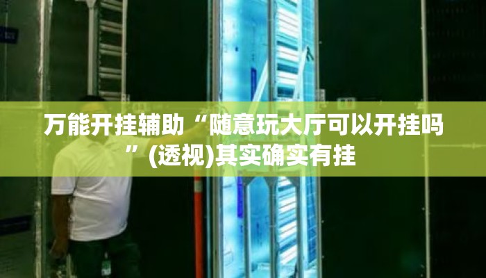 万能开挂辅助“随意玩大厅可以开挂吗”(透视)其实确实有挂 
