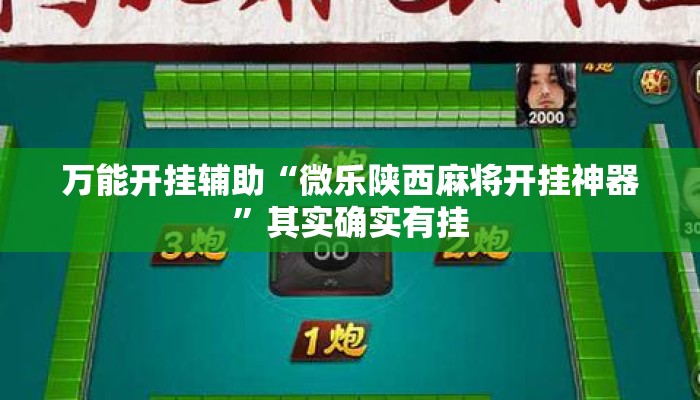 万能开挂辅助“微乐陕西麻将开挂神器	”其实确实有挂