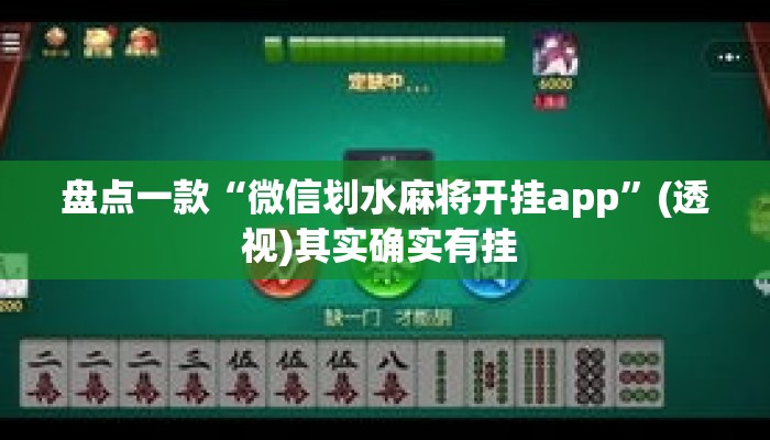 盘点一款“微信划水麻将开挂app”(透视)其实确实有挂 