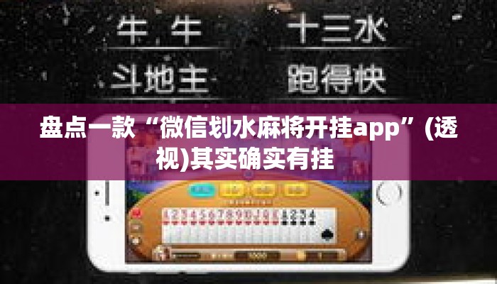 盘点一款“微信划水麻将开挂app”(透视)其实确实有挂 