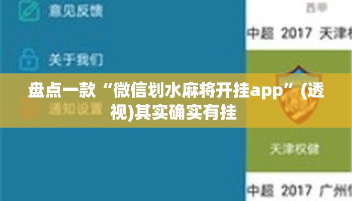 盘点一款“微信划水麻将开挂app”(透视)其实确实有挂 