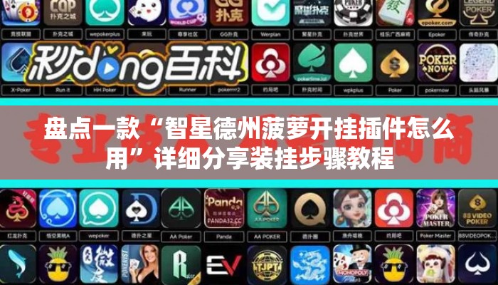 盘点一款“智星德州菠萝开挂插件怎么用”详细分享装挂步骤教程