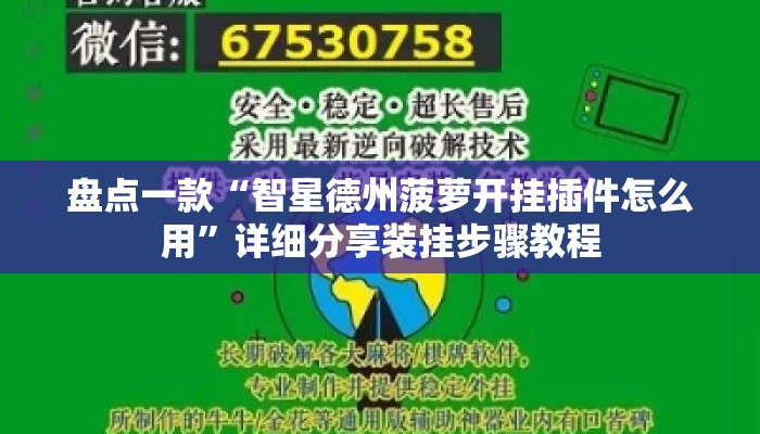 盘点一款“智星德州菠萝开挂插件怎么用	”详细分享装挂步骤教程