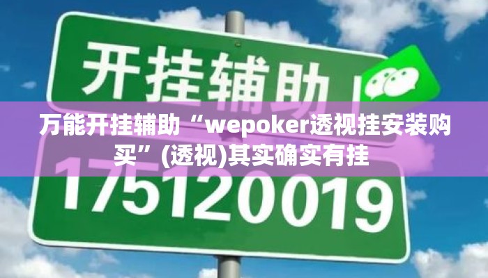 万能开挂辅助“wepoker透视挂安装购买	”(透视)其实确实有挂 
