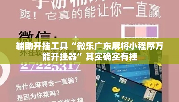 辅助开挂工具“微乐广东麻将小程序万能开挂器”其实确实有挂
