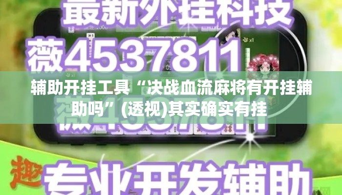 辅助开挂工具“决战血流麻将有开挂辅助吗	”(透视)其实确实有挂 