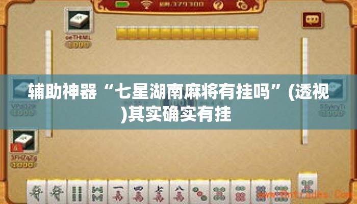 辅助神器“七星湖南麻将有挂吗”(透视)其实确实有挂 