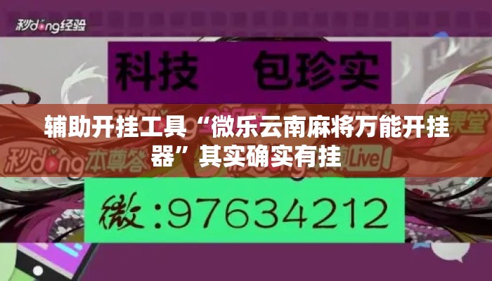 辅助开挂工具“微乐云南麻将万能开挂器	”其实确实有挂