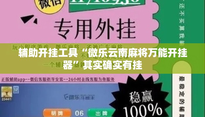 辅助开挂工具“微乐云南麻将万能开挂器”其实确实有挂