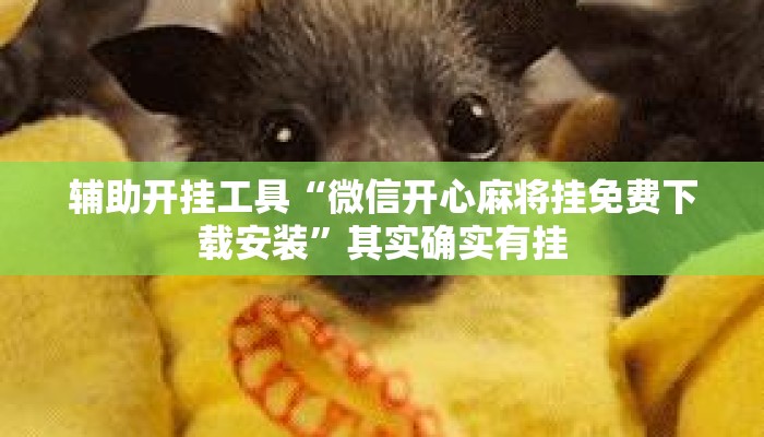 辅助开挂工具“微信开心麻将挂免费下载安装”其实确实有挂