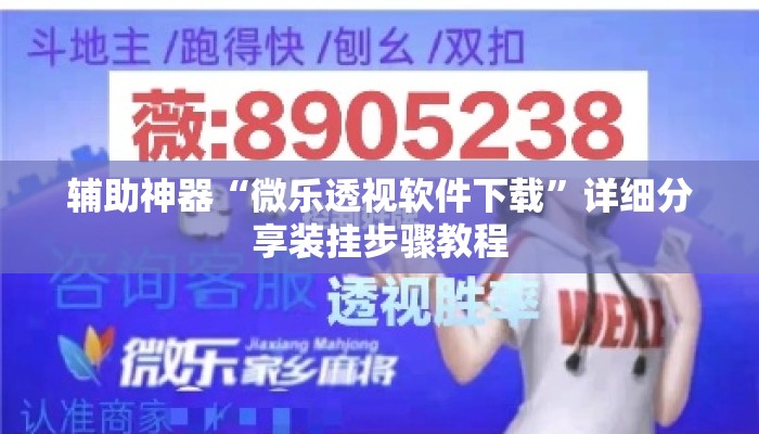 辅助神器“微乐透视软件下载”详细分享装挂步骤教程