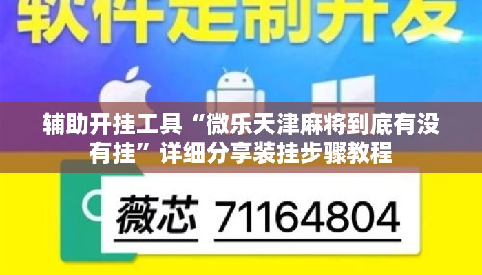 辅助开挂工具“微乐天津麻将到底有没有挂”详细分享装挂步骤教程