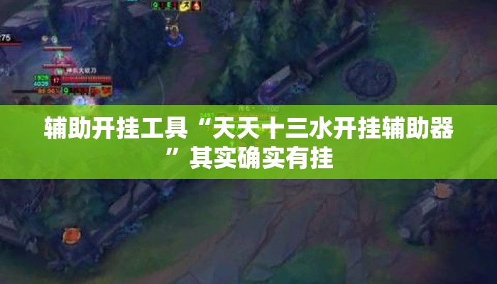 辅助开挂工具“天天十三水开挂辅助器”其实确实有挂