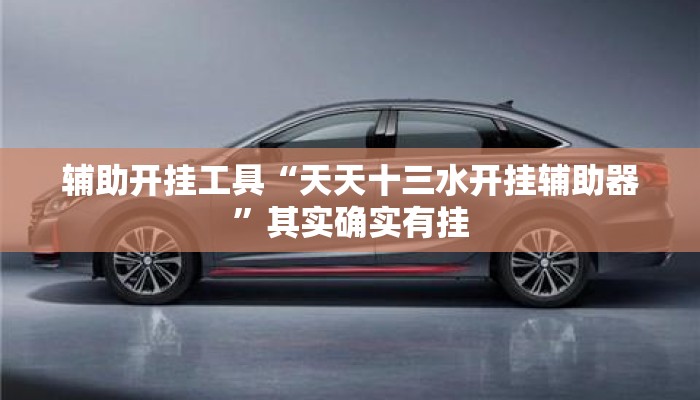辅助开挂工具“天天十三水开挂辅助器”其实确实有挂