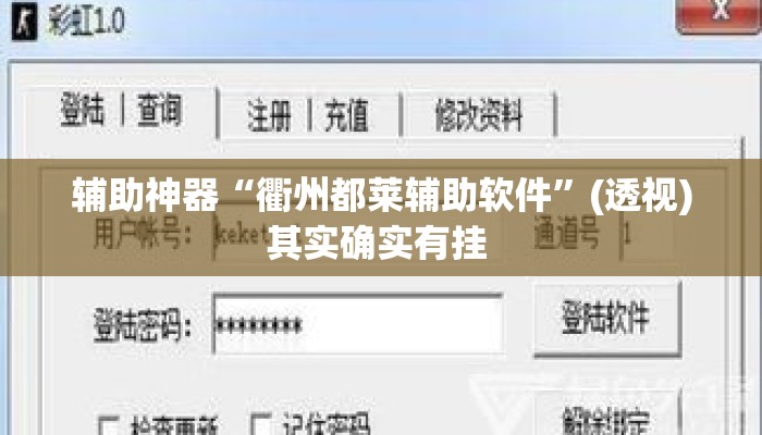 辅助神器“衢州都莱辅助软件”(透视)其实确实有挂 