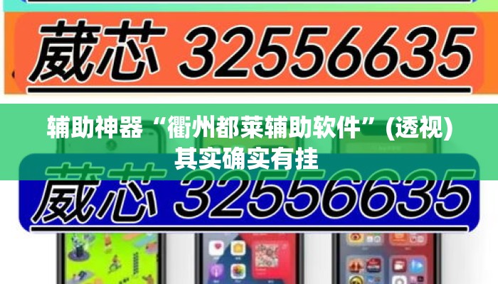 辅助神器“衢州都莱辅助软件	”(透视)其实确实有挂 