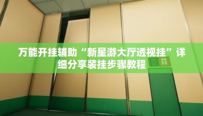 万能开挂辅助“新星游大厅透视挂	”详细分享装挂步骤教程
