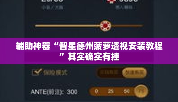 辅助神器“智星德州菠萝透视安装教程	”其实确实有挂