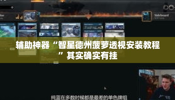 辅助神器“智星德州菠萝透视安装教程”其实确实有挂