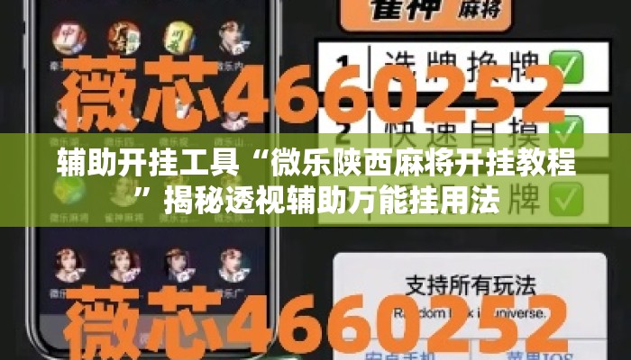 辅助开挂工具“微乐陕西麻将开挂教程”揭秘透视辅助万能挂用法