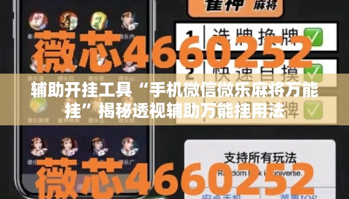 辅助开挂工具“手机微信微乐麻将万能挂”揭秘透视辅助万能挂用法