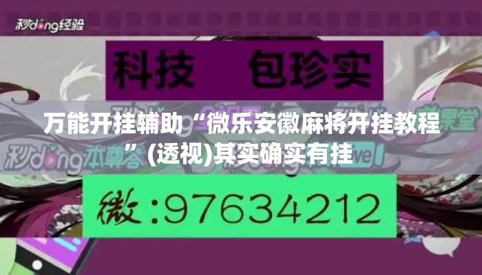 万能开挂辅助“微乐安徽麻将开挂教程”(透视)其实确实有挂 