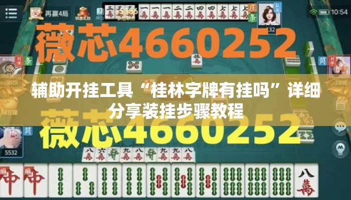 辅助开挂工具“桂林字牌有挂吗”详细分享装挂步骤教程