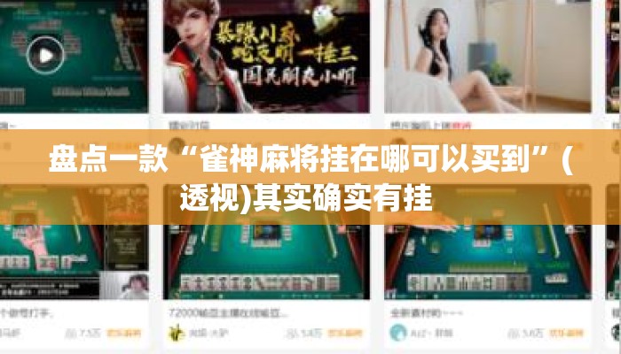 盘点一款“雀神麻将挂在哪可以买到”(透视)其实确实有挂 