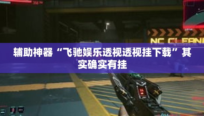 辅助神器“飞驰娱乐透视透视挂下载”其实确实有挂