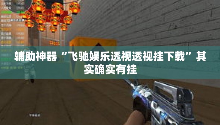 辅助神器“飞驰娱乐透视透视挂下载”其实确实有挂
