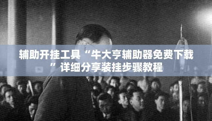 辅助开挂工具“牛大亨辅助器免费下载”详细分享装挂步骤教程