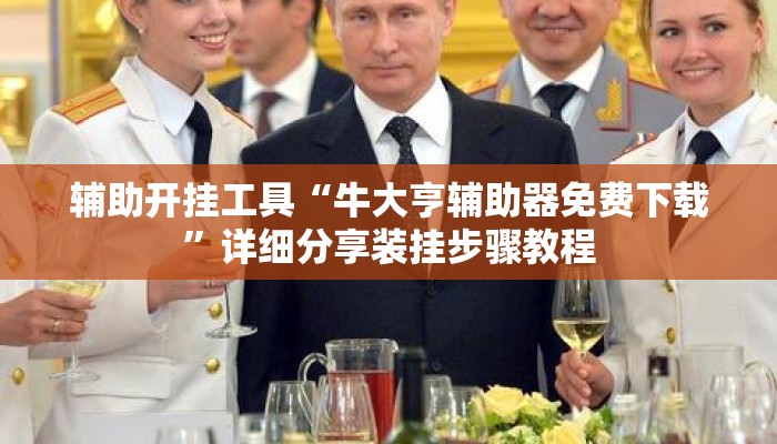 辅助开挂工具“牛大亨辅助器免费下载”详细分享装挂步骤教程