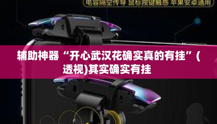 辅助神器“开心武汉花确实真的有挂	”(透视)其实确实有挂 