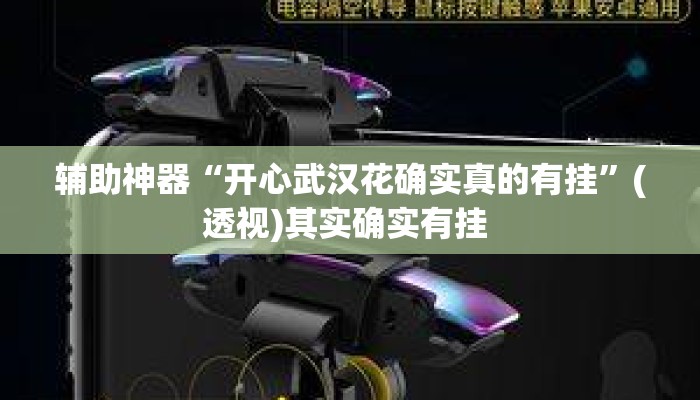 辅助神器“开心武汉花确实真的有挂”(透视)其实确实有挂 